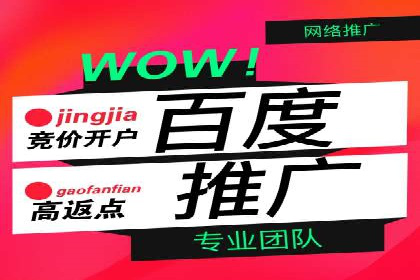 专业SEM运营托管服务案例分析